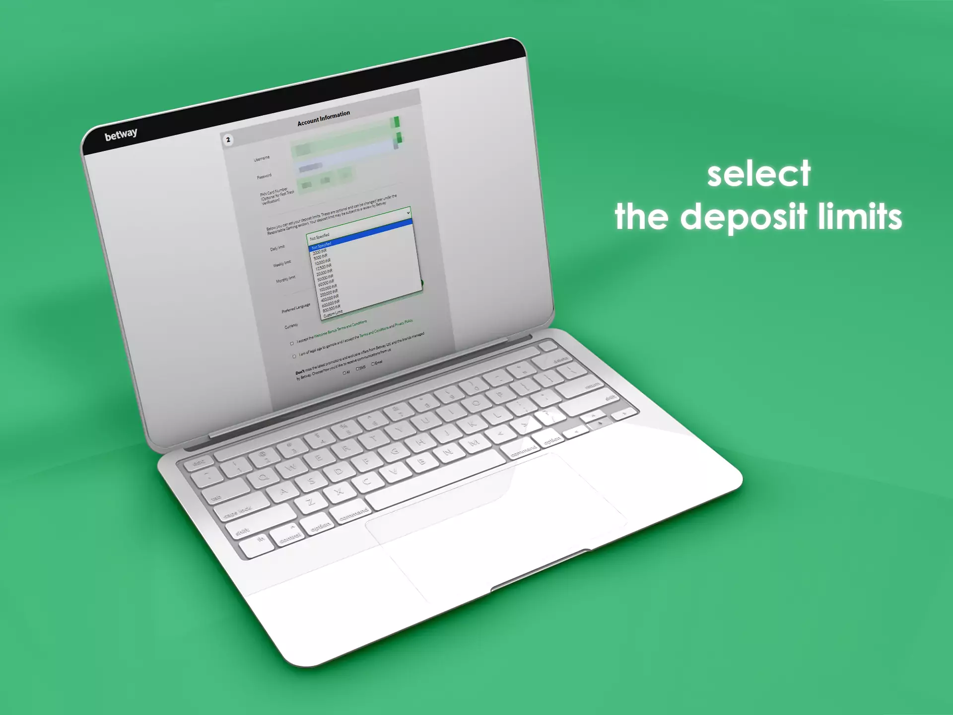In the Account Information section, you can set up daily, weekly and monthly deposits.