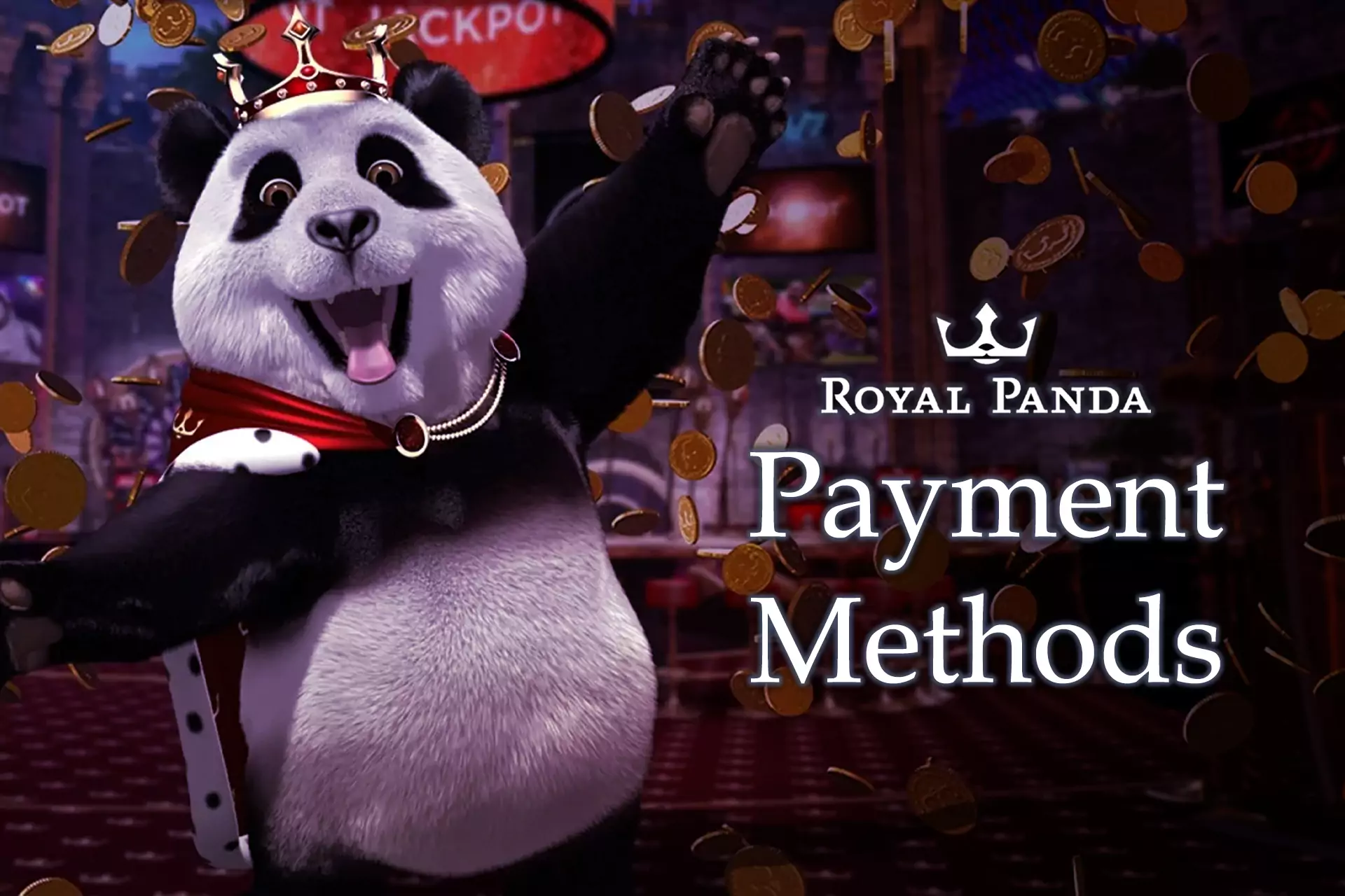 In the Royal Panda Casino you can use for depositing and withdrawal all the most popular Indian payment methods.